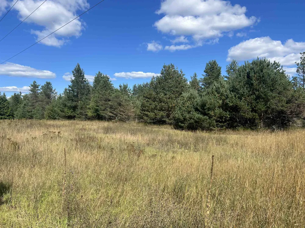 Cody Lane Kalkaska Township, MI 49646