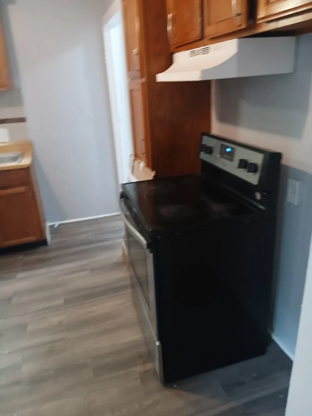 1735 Meadow Lane Inkster City, MI 48141
