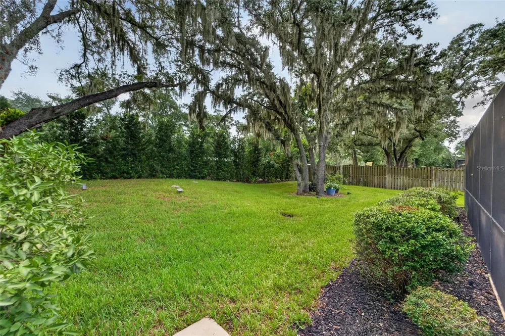 3002 WISTER CIRCLE Valrico, FL 33596