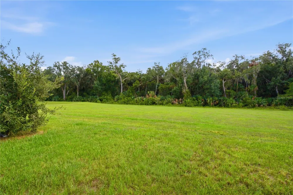 20043 ROYAL TERN COURT Leesburg, FL 34748