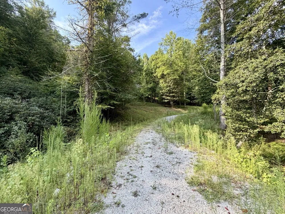 1657 Nimblewill Gap RD Dahlonega, GA 30533