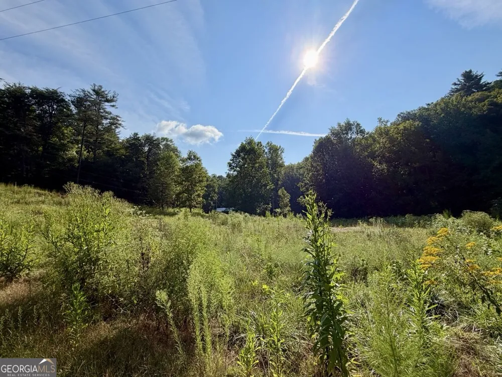 1657 Nimblewill Gap RD Dahlonega, GA 30533