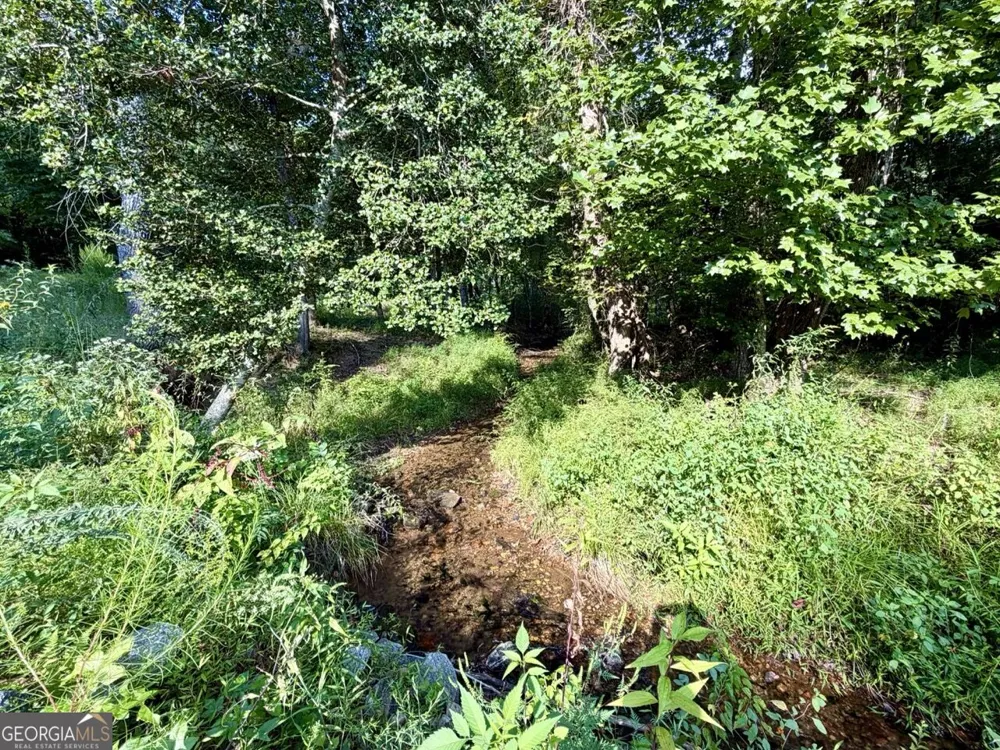 1657 Nimblewill Gap RD Dahlonega, GA 30533