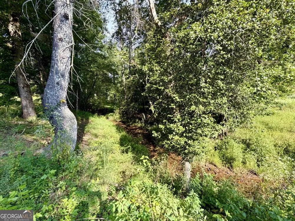 1657 Nimblewill Gap RD Dahlonega, GA 30533