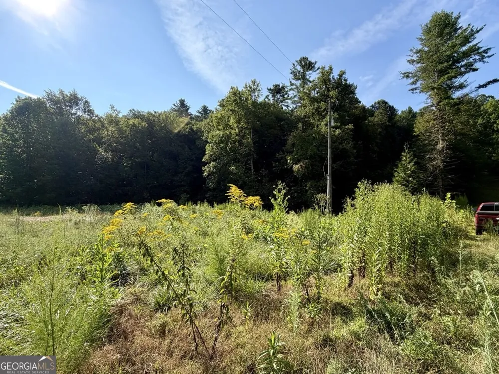 1657 Nimblewill Gap RD Dahlonega, GA 30533