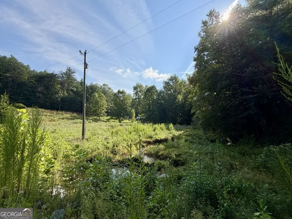 1657 Nimblewill Gap RD Dahlonega, GA 30533