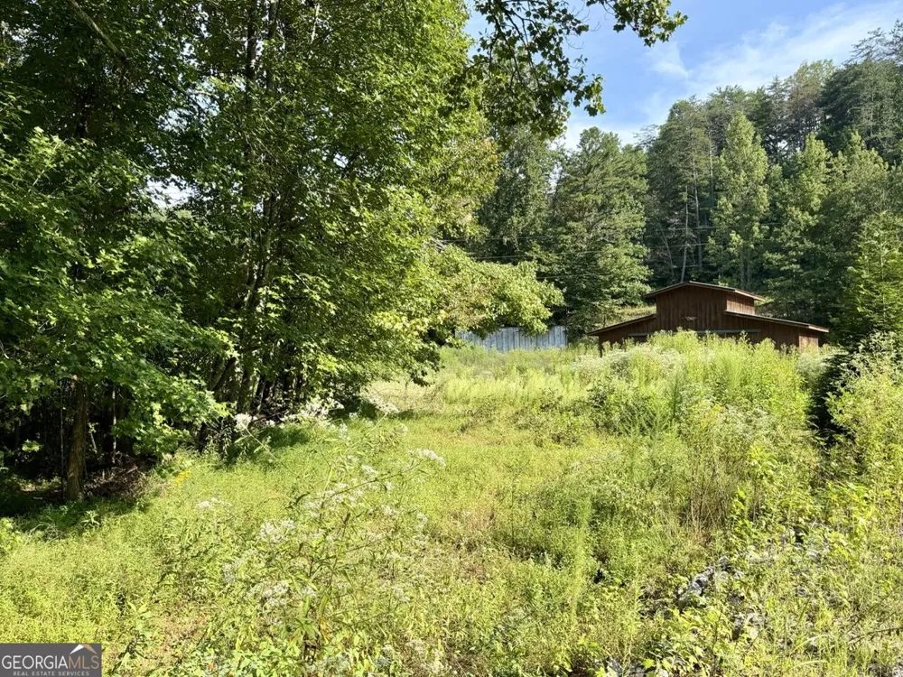 1657 Nimblewill Gap RD Dahlonega, GA 30533