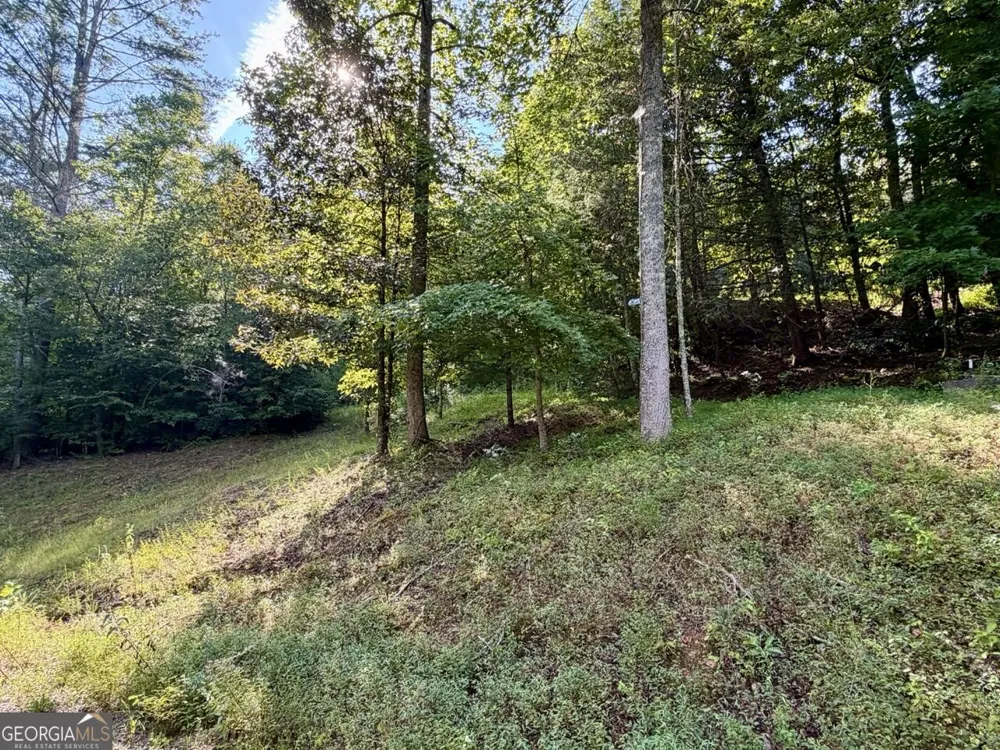 1657 Nimblewill Gap RD Dahlonega, GA 30533