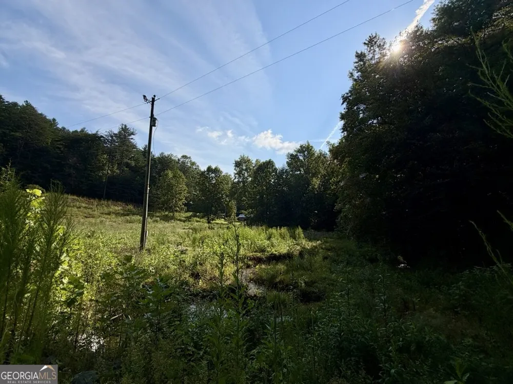 1657 Nimblewill Gap RD Dahlonega, GA 30533