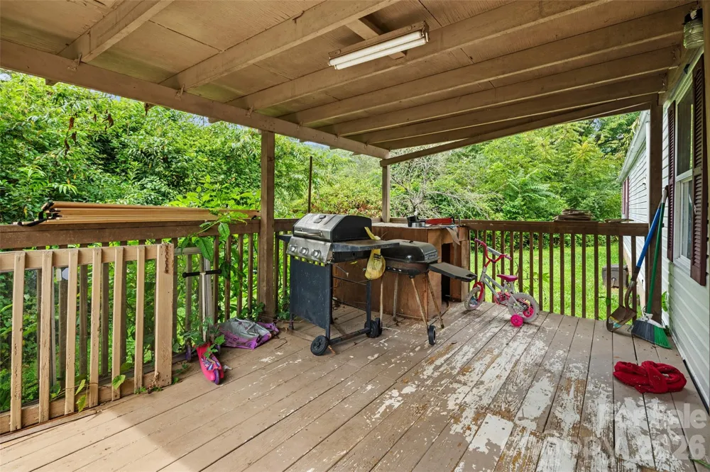 4 Briarcliff Terrace Asheville, NC 28806