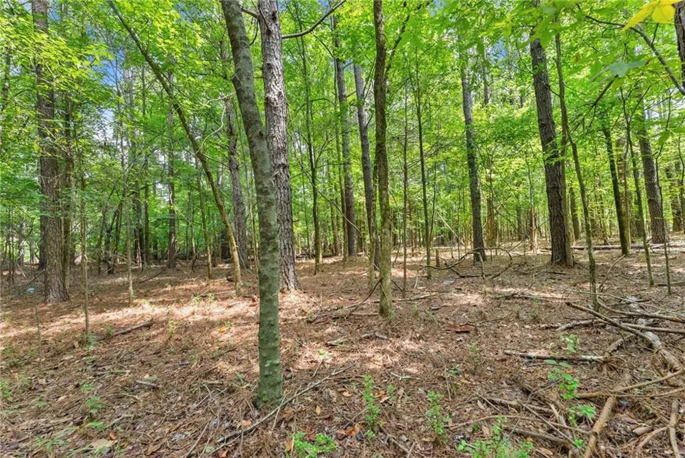 1097 Doster Road Jefferson, GA 30549