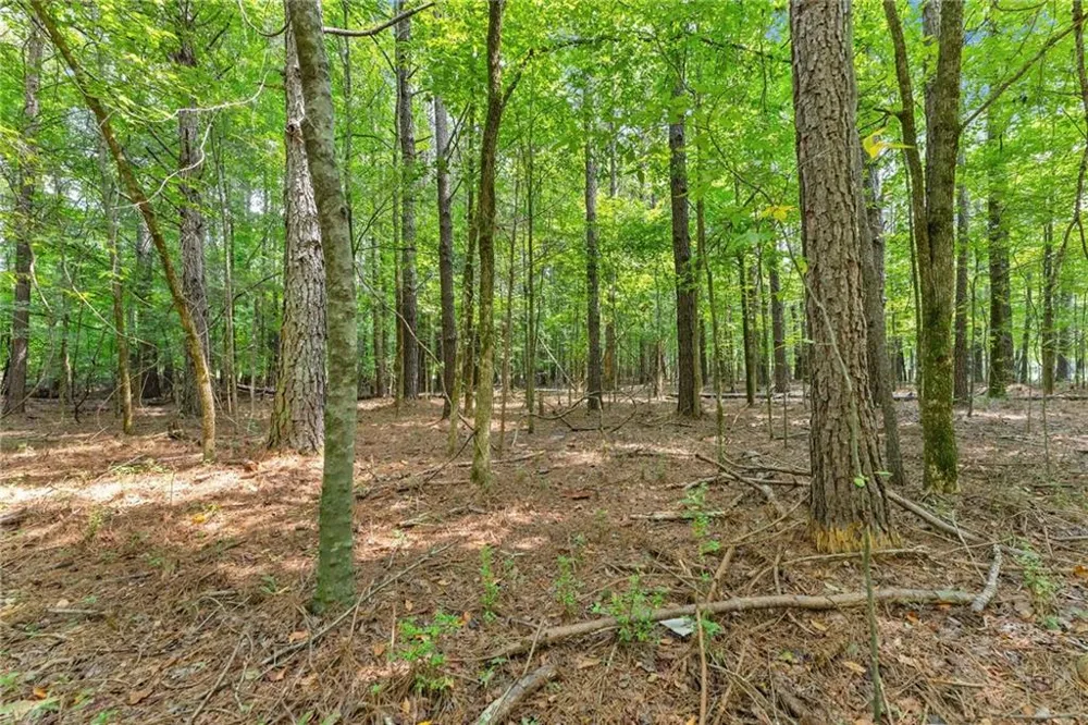 1097 Doster Road Jefferson, GA 30549