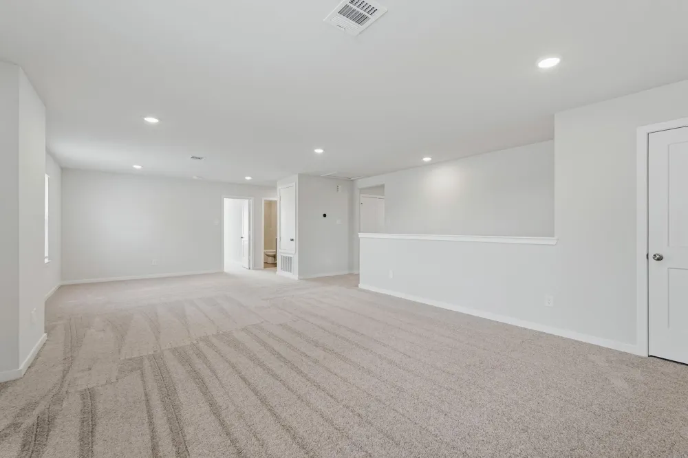 312 Tall Birch Drive Hockley, TX 77447