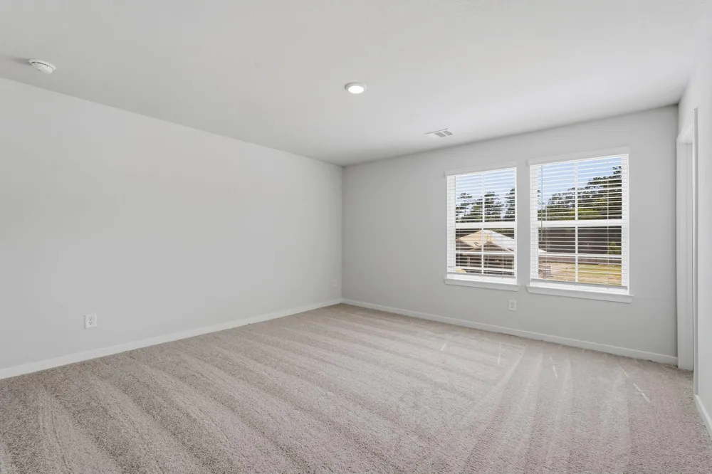 312 Tall Birch Drive Hockley, TX 77447