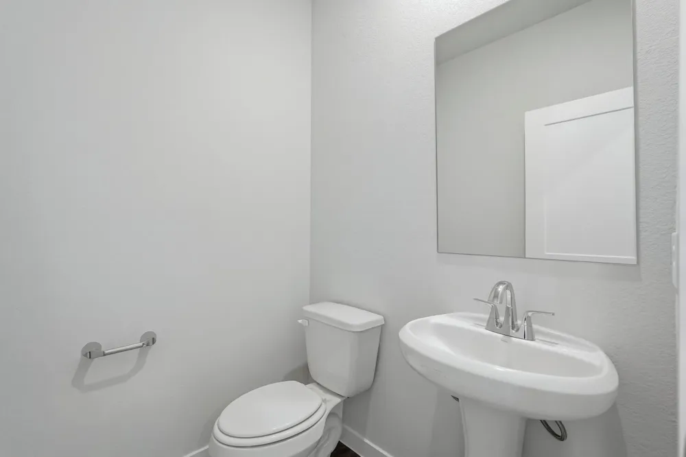 312 Tall Birch Drive Hockley, TX 77447