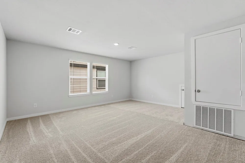 308 Tall Birch Drive Hockley, TX 77447
