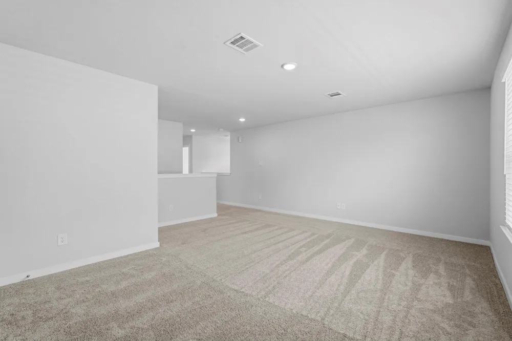 308 Tall Birch Drive Hockley, TX 77447