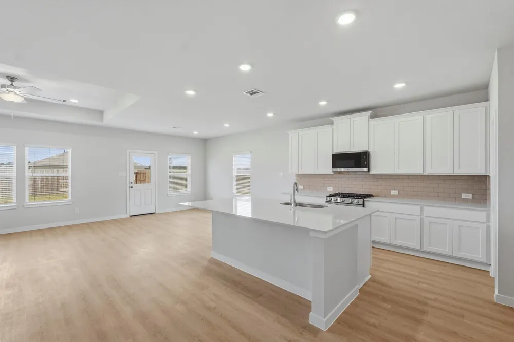308 Tall Birch Drive Hockley, TX 77447
