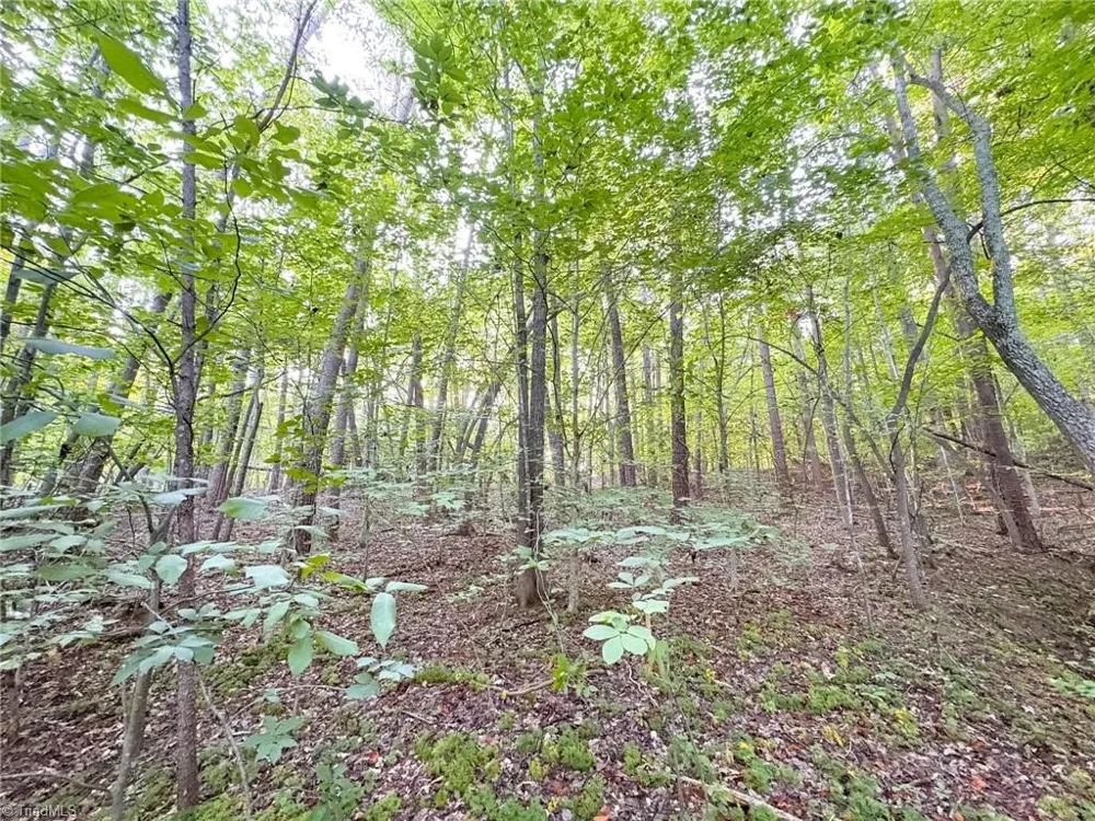320 Stanley Road Stokesdale, NC 27357