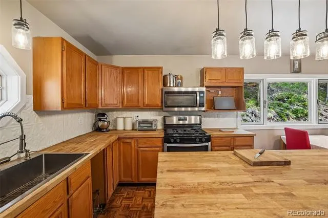31582 Pike View Drive Conifer, CO 80433