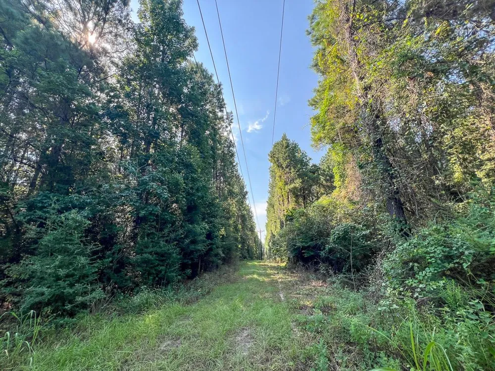 1 Cr 2150 Woodville, TX 75979