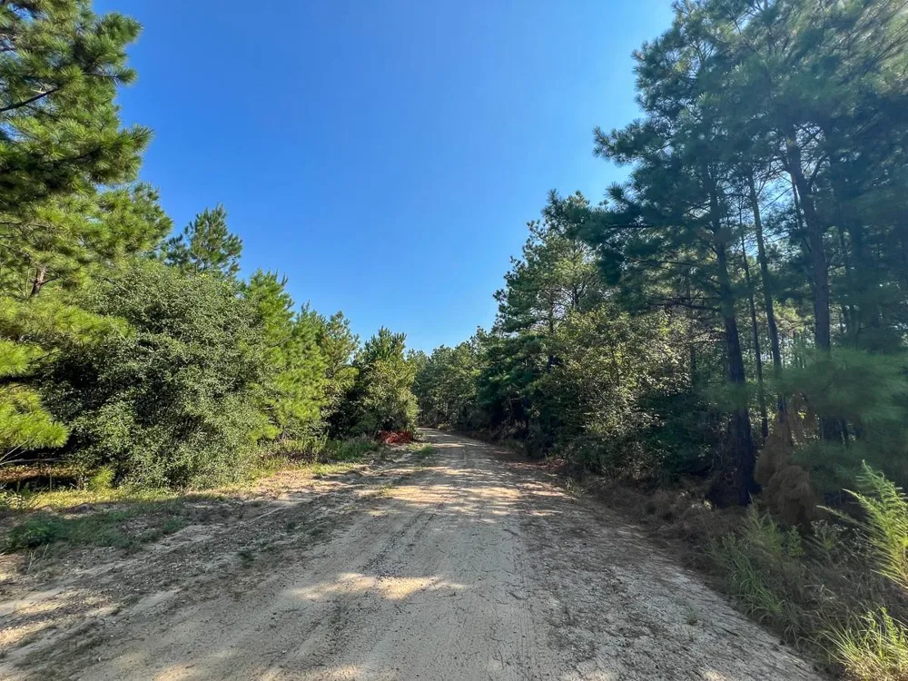 1 Cr 2150 Woodville, TX 75979