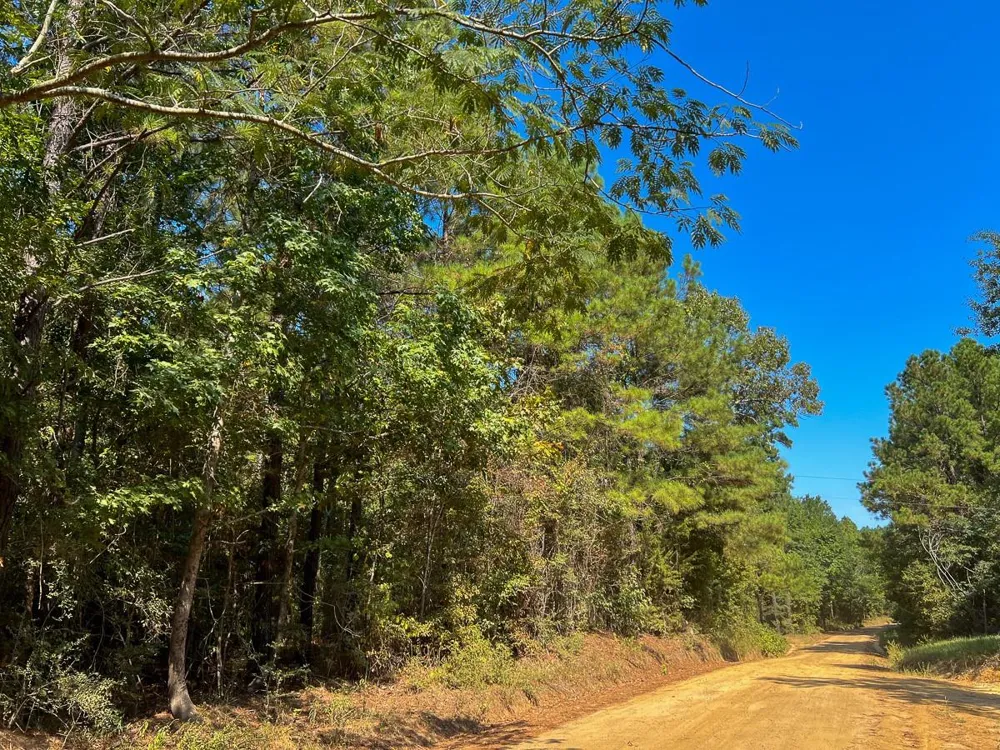 1 Cr 2150 Woodville, TX 75979