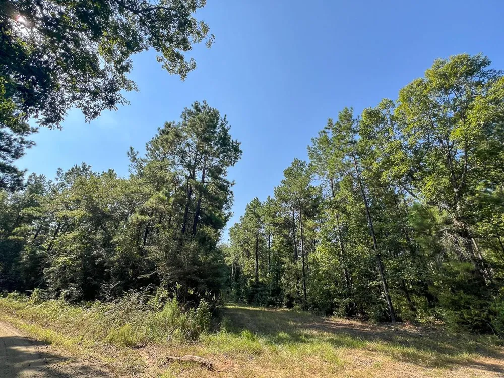 1 Cr 2150 Woodville, TX 75979
