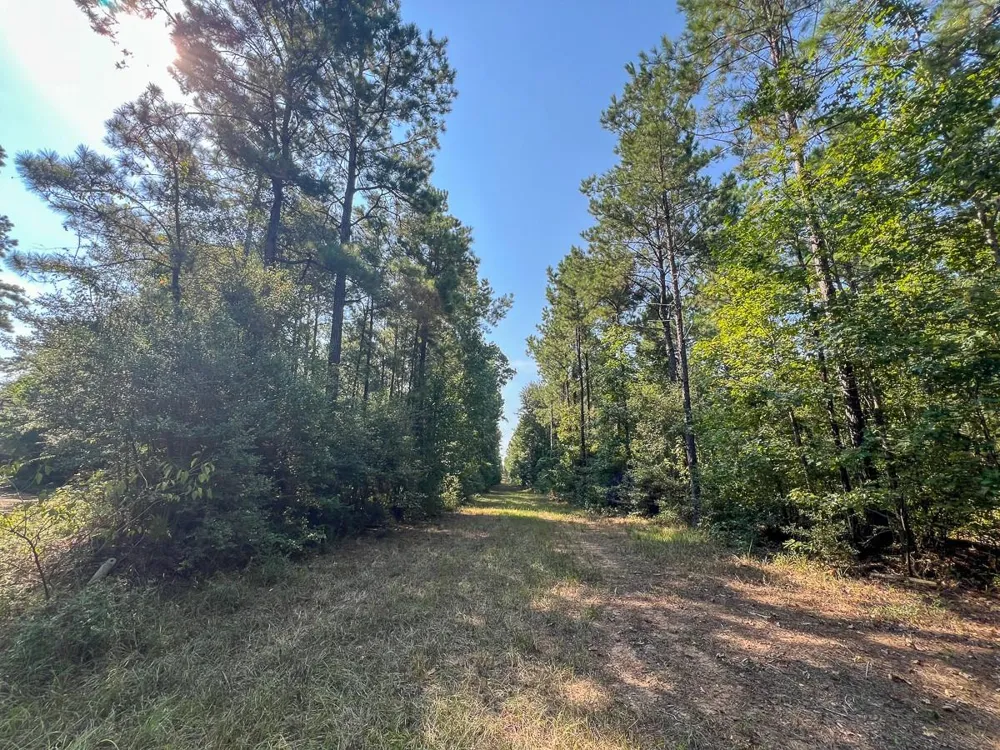 1 Cr 2150 Woodville, TX 75979