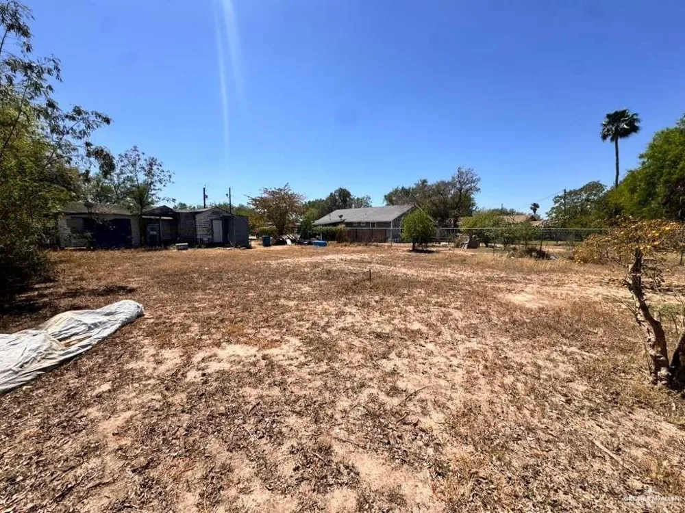 628 E Birch Avenue E Alamo, TX 78516