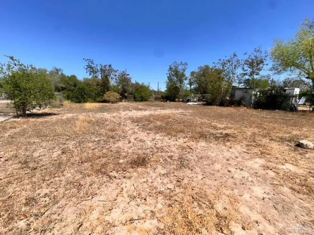 628 E Birch Avenue E Alamo, TX 78516