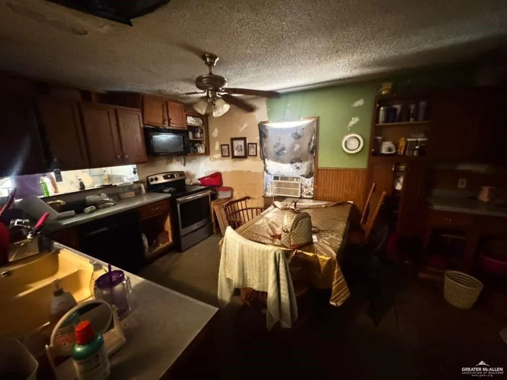 628 E Birch Avenue E Alamo, TX 78516