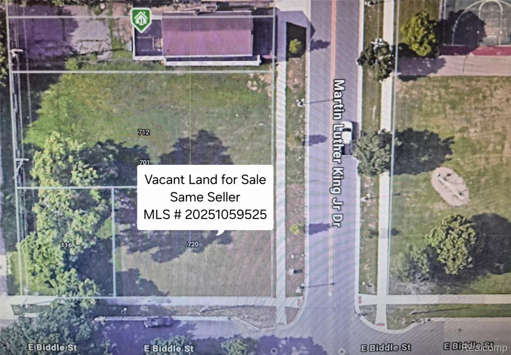 710 S Martin Luther King Jr Drive Jackson City, MI 49203