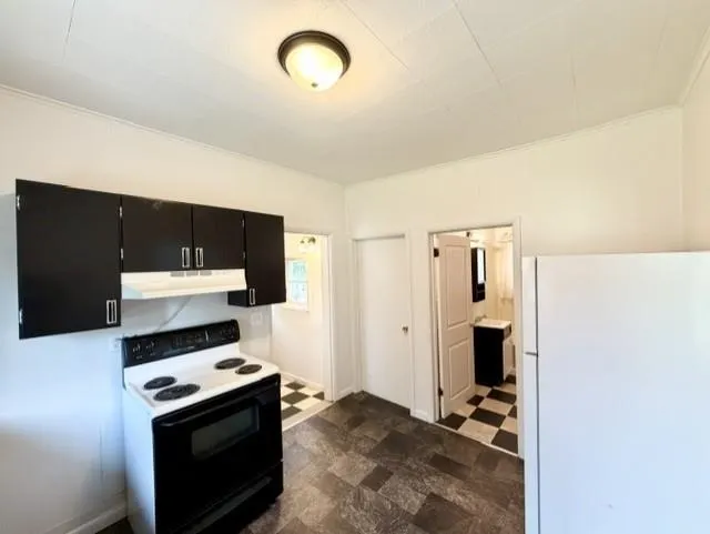 1315 Plum Alma City, MI 48801