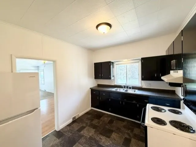 1315 Plum Alma City, MI 48801