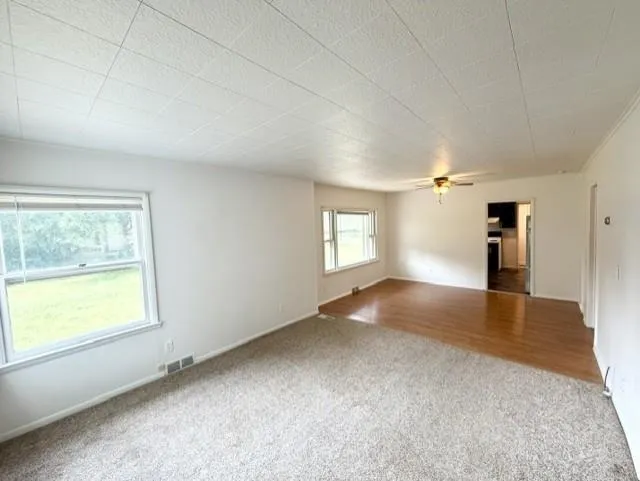 1315 Plum Alma City, MI 48801