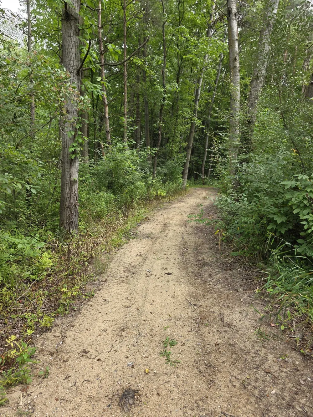 5277 S Wise Road Chippewa Township, MI 48883