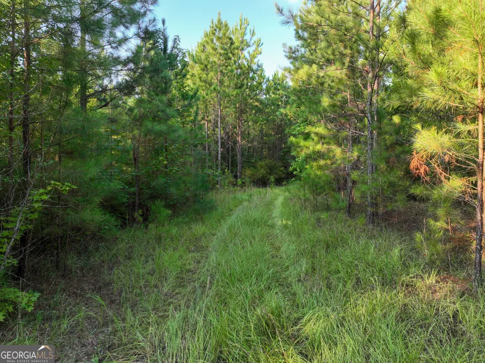 110 & 200 McCullar Weaver RD Milledgeville, GA 31061