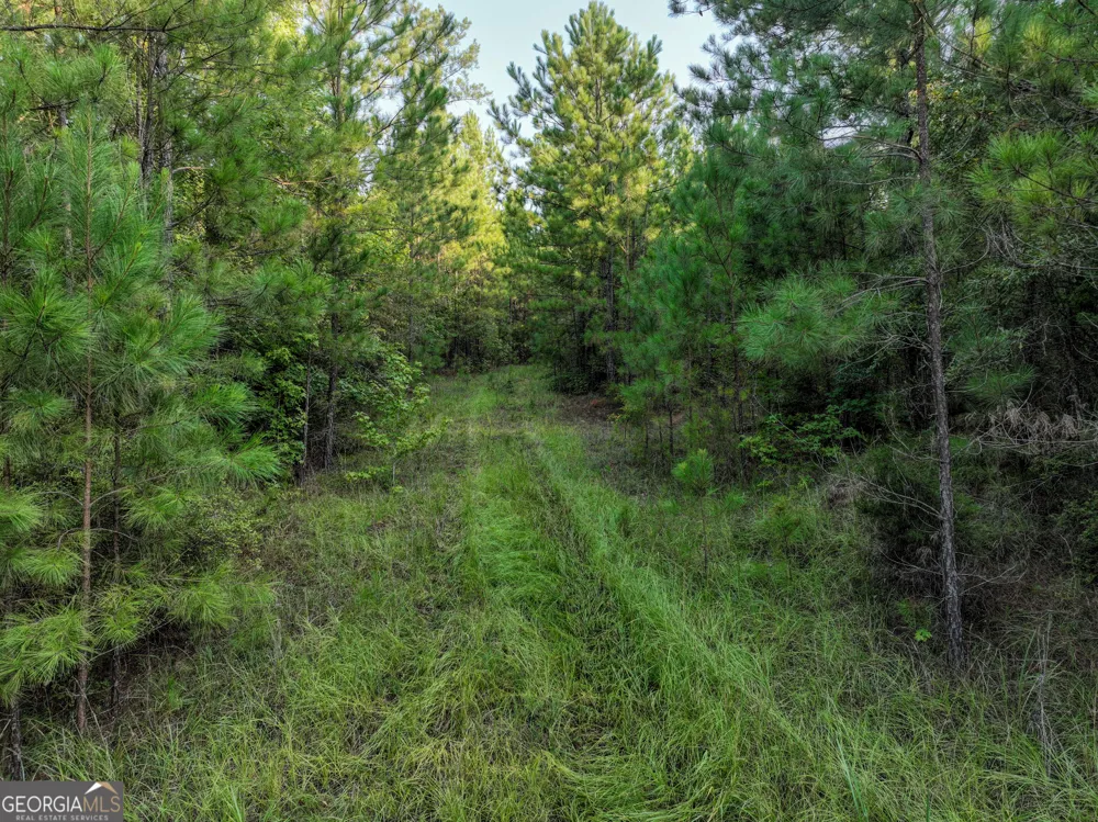 110 & 200 McCullar Weaver RD Milledgeville, GA 31061