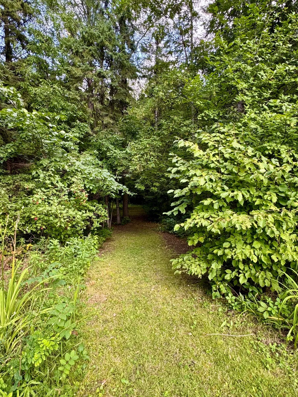 69305 Kirkwood Drive Roosevelt, MN 56673