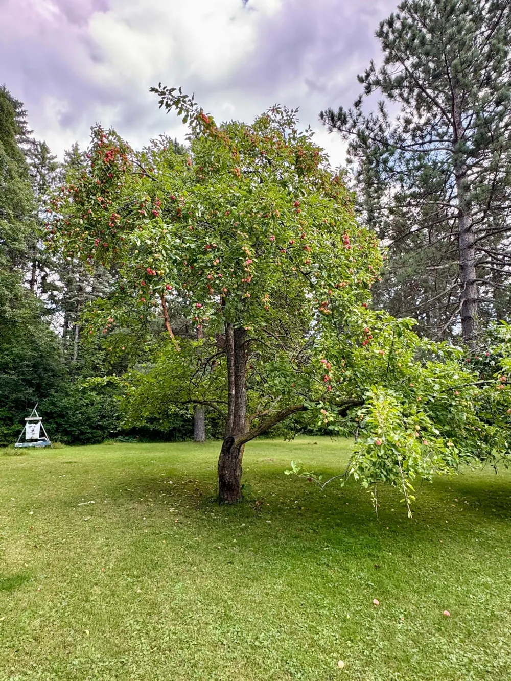 69305 Kirkwood Drive Roosevelt, MN 56673