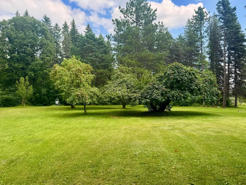 69305 Kirkwood Drive Roosevelt, MN 56673