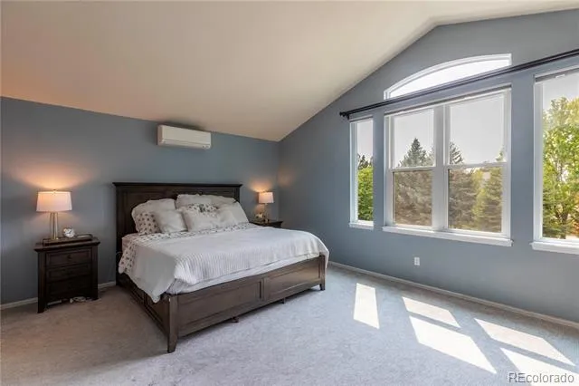 3453 Starflower Road Castle Rock, CO 80109