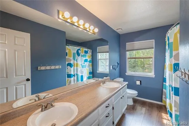 3453 Starflower Road Castle Rock, CO 80109