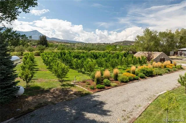 15805 Black Bridge Road Paonia, CO 81428