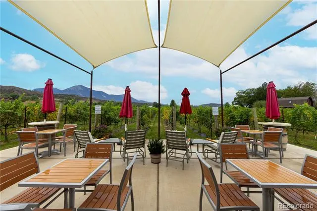 15805 Black Bridge Road Paonia, CO 81428