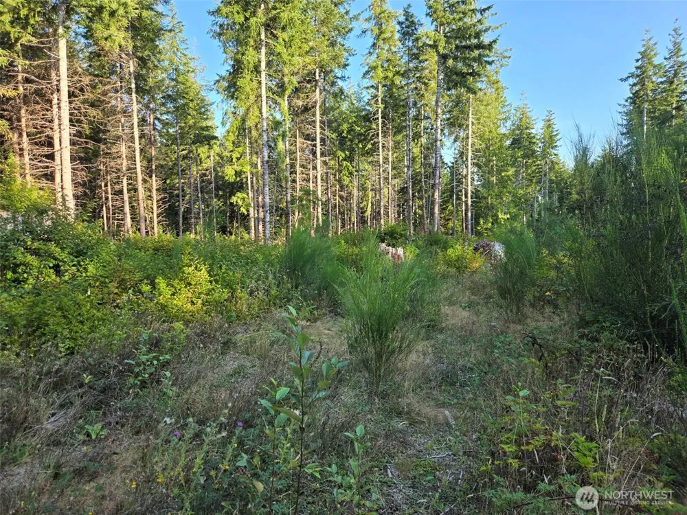 15 XX Kirkpatrick Road Hoquiam, WA 98550