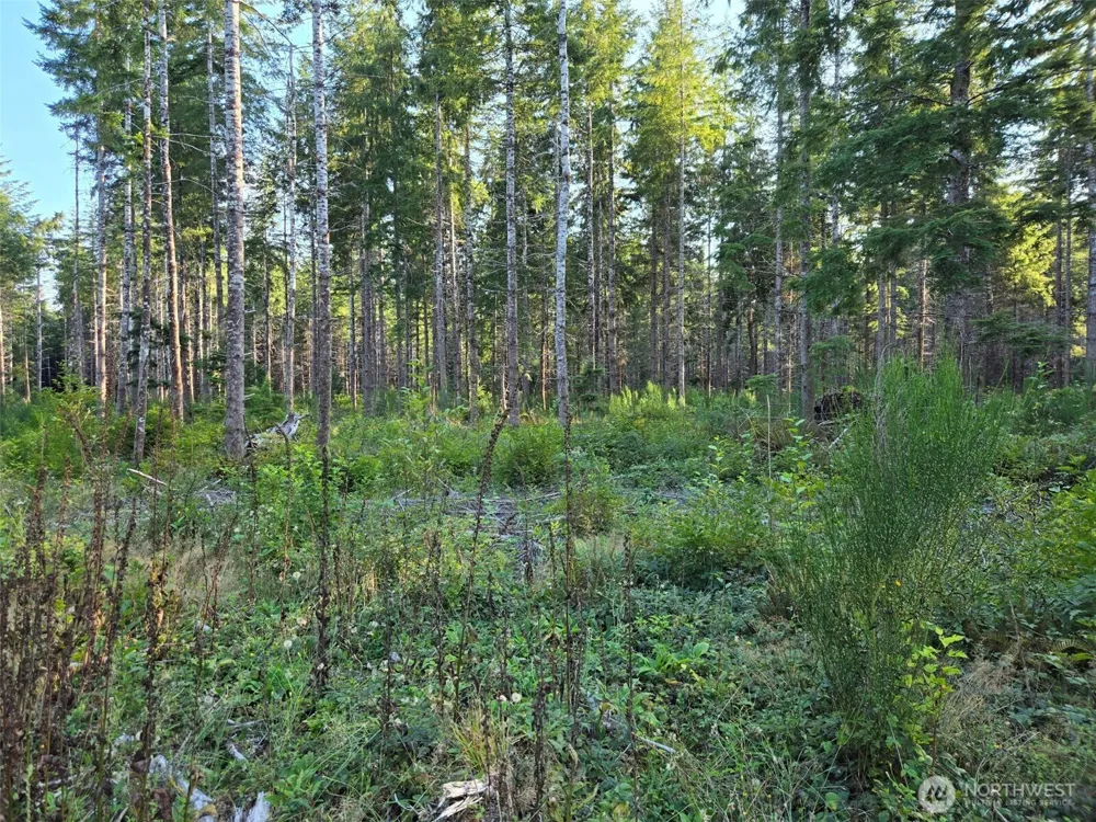 15 XX Kirkpatrick Road Hoquiam, WA 98550