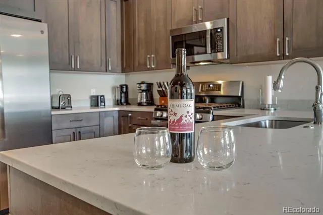 235 E La Bonte Street #108 Dillon, CO 80435