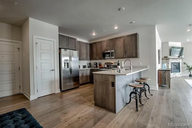 235 E La Bonte Street #108 Dillon, CO 80435